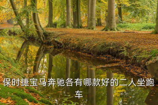 保時(shí)捷寶馬奔馳各有哪款好的二人坐跑車
