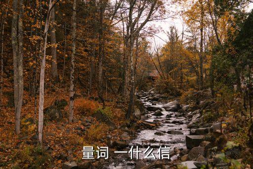 量詞 一什么信