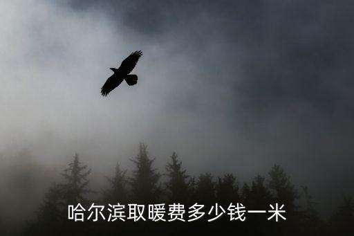 哈爾濱取暖費(fèi)多少錢一米