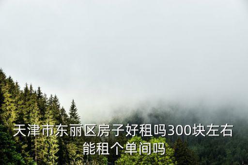 天津市東麗區(qū)房子好租嗎300塊左右能租個單間嗎