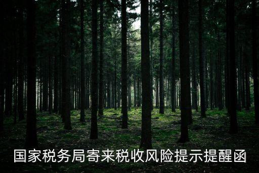 風(fēng)險(xiǎn)提示函，公司收到了稅務(wù)局的稅收風(fēng)險(xiǎn)提示函該怎么辦