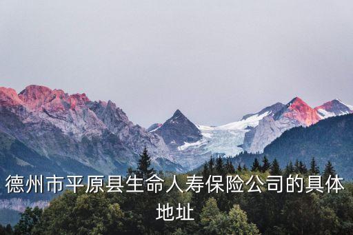 德州市平原縣生命人壽保險(xiǎn)公司的具體地址