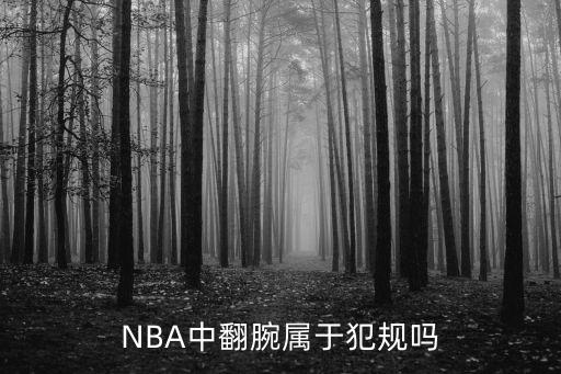 CNAA，NBA中翻腕屬于犯規(guī)嗎