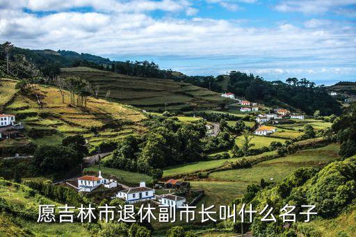 愿吉林市退休副市長叫什么名子