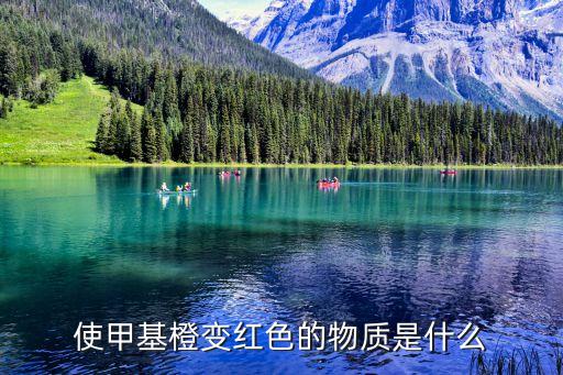 使甲基橙變紅色的物質(zhì)是什么