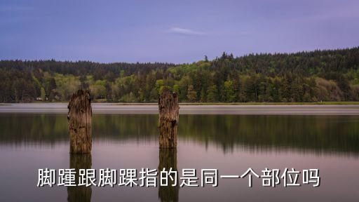 腳裸和腳踝的區(qū)別，腳眼與腳裸是哪里