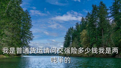 我是普通貨運(yùn)請(qǐng)問(wèn)交強(qiáng)險(xiǎn)多少錢我是兩噸半的