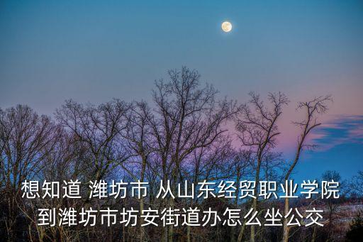 坊安街道，坊子屬于什么街道
