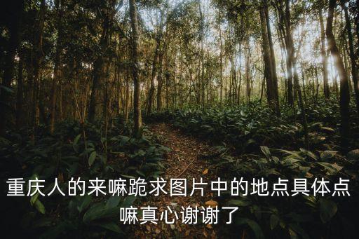重慶人的來嘛跪求圖片中的地點具體點嘛真心謝謝了