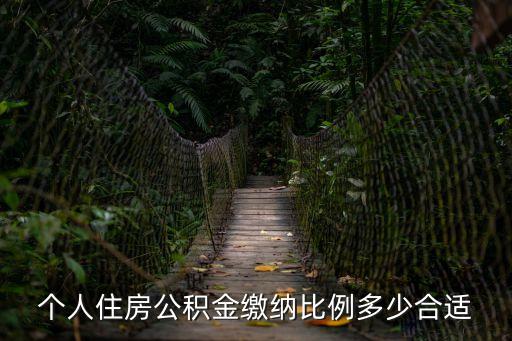 個人住房公積金繳納比例多少合適