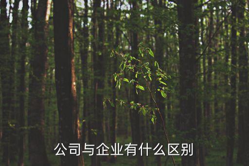 企業(yè)公司，哪個是公司企業(yè)類型