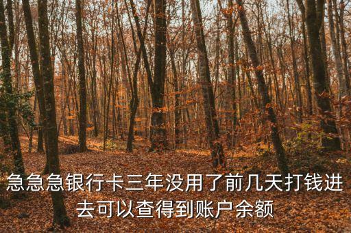 急急急銀行卡三年沒用了前幾天打錢進去可以查得到賬戶余額