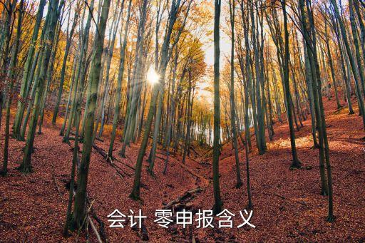 會(huì)計(jì) 零申報(bào)含義