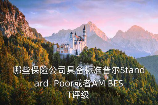 保險公司評級，保險公司的評級中有AAA級和BBB級那究竟是哪個更好一些  搜