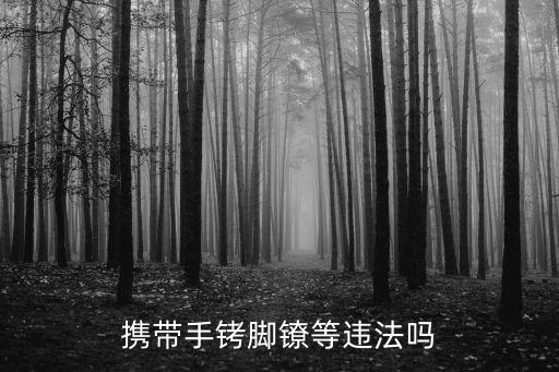 警械武器使用條例，警察如何依法使用武力