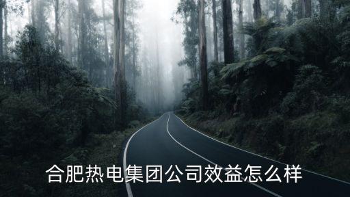 合肥熱電集團(tuán)，合肥熱電集團(tuán)效益怎樣正式工月薪有多少呢
