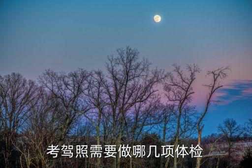 考駕照需要做哪幾項(xiàng)體檢