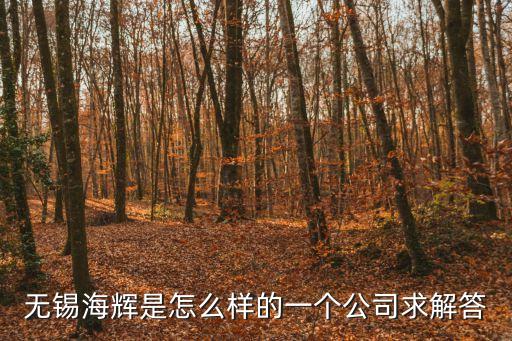 無錫海輝是怎么樣的一個(gè)公司求解答