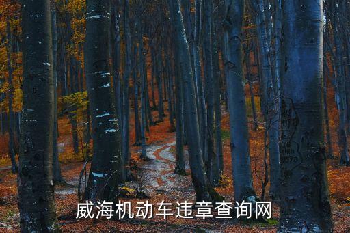 威海交通違章查詢，威海機(jī)動(dòng)車違章查詢網(wǎng)