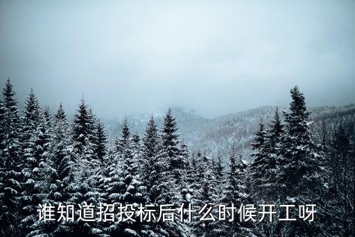 誰知道招投標(biāo)后什么時(shí)候開工呀