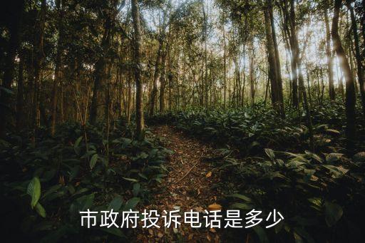 市政府投訴電話是多少