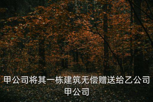 甲公司將其一棟建筑無(wú)償贈(zèng)送給乙公司甲公司