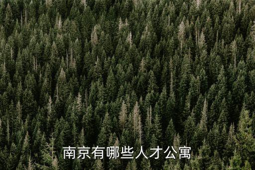 南京市人才安居，南京有哪些人才公寓