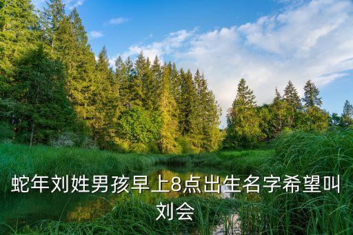 蛇年劉姓男孩早上8點(diǎn)出生名字希望叫劉會
