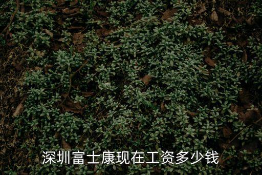 深圳富士康工資，深圳富士康一般員工工資是多少