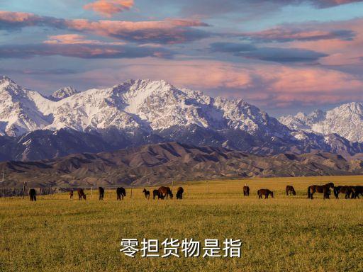 零擔(dān)貨物是指