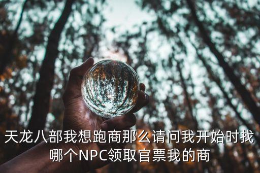 官票，天龍八部我想跑商那么請問我開始時找哪個NPC領取官票我的商
