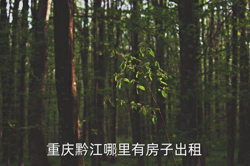 黔江租房，重慶黔江哪里有房子出租