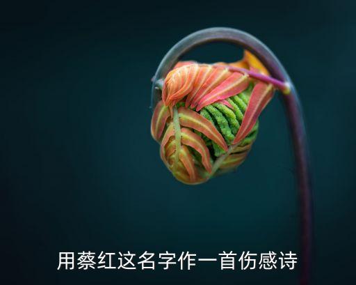 用蔡紅這名字作一首傷感詩(shī)