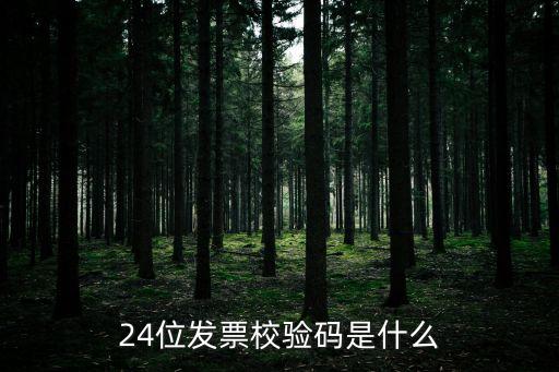 24位發(fā)票校驗碼是什么