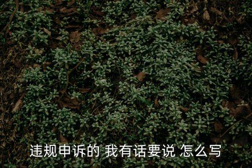 違規(guī)申訴的 我有話(huà)要說(shuō) 怎么寫(xiě)