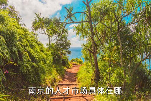 南京人才市場(chǎng)，南京人才市場(chǎng)在哪