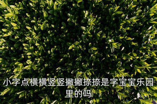 字寶寶樂園，字寶寶樂園有什么特別的地方