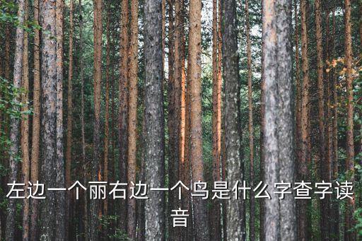 左邊一個麗右邊一個鳥是什么字查字讀音
