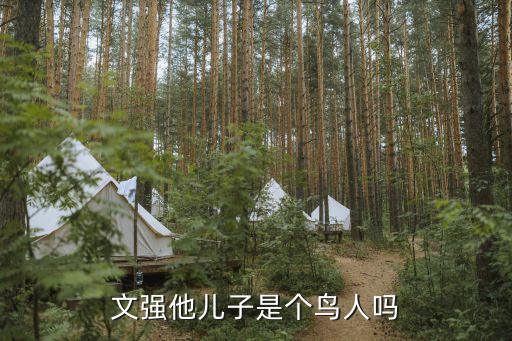 文強(qiáng)兒子，奧特曼6兄弟誰最厲害