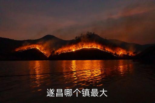 遂昌哪個(gè)鎮(zhèn)最大