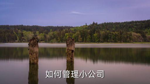 如何管理小公司