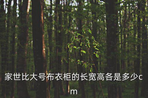 家世比大號布衣柜的長寬高各是多少cm