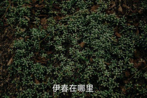 伊春在哪，黑龍江伊春市都有哪些區(qū)