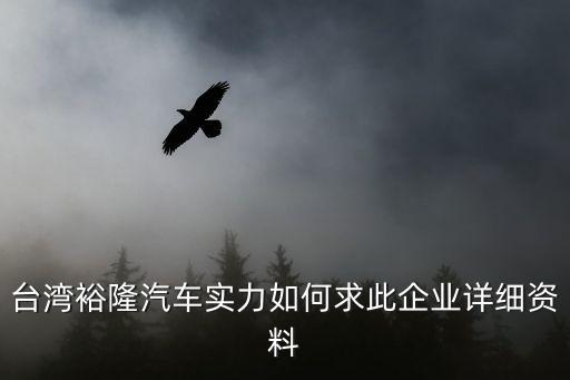 臺(tái)灣裕隆汽車實(shí)力如何求此企業(yè)詳細(xì)資料
