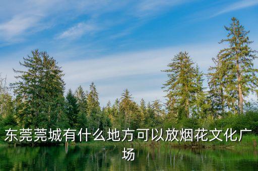 東莞煙花，東莞元宵節(jié)哪里有煙花看