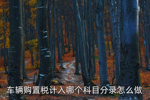 車輛購置稅計入哪個科目分錄怎么做