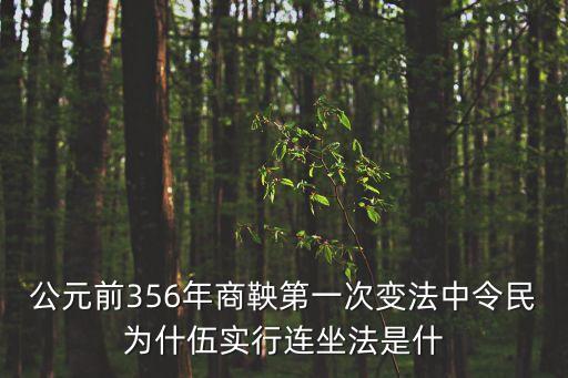 連坐法，連坐法是什么意思