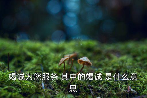 竭誠(chéng)為您服務(wù)，竭誠(chéng)為您服務(wù) 其中的竭誠(chéng) 是什么意思