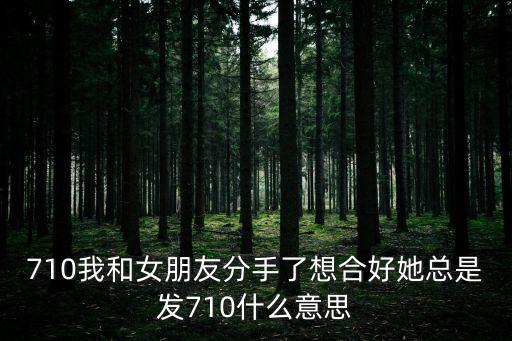 710我和女朋友分手了想合好她總是發(fā)710什么意思
