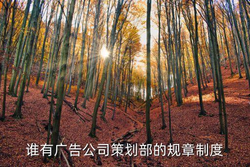 誰有廣告公司策劃部的規(guī)章制度